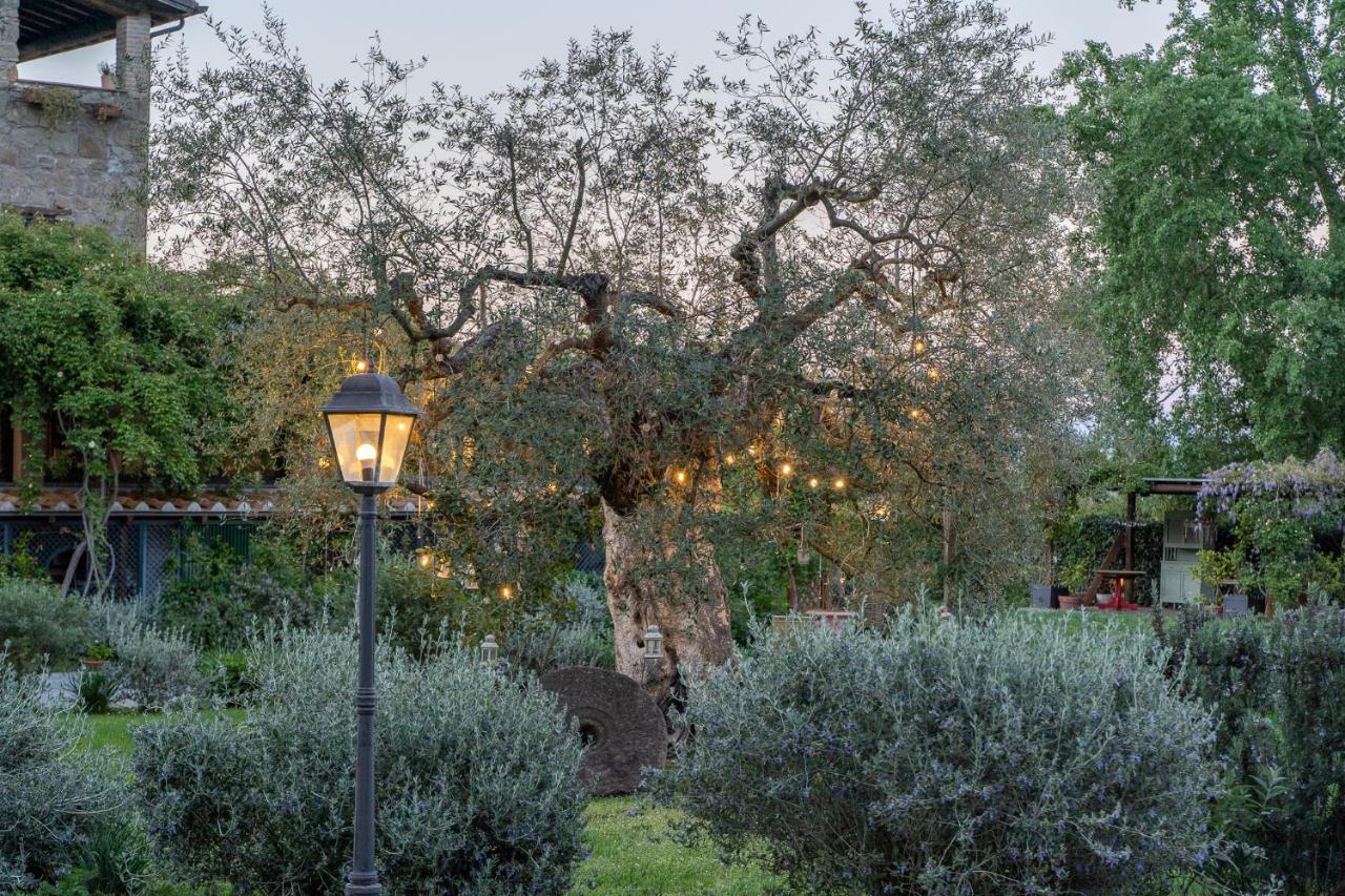 L'Olivo Country Resort & Spa Bassano in Teverina ภายนอก รูปภาพ